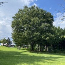 空の庭ウエディングの画像