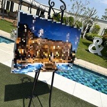 アートグレイス ウエディングコースト 大阪の画像｜入り口すぐのガーデンです。