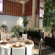 ララシャンス　ベルアミーの画像