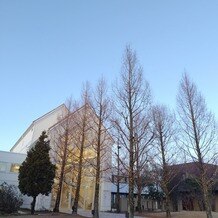 ララシャンス　ベルアミーの画像