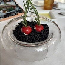 DAZZLE（レストランダズル）の写真｜Hatake（ラディッシュ+食べられる土）
