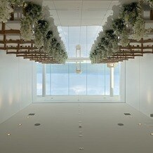 エシェル ドゥ アンジェの写真｜その他｜2025-09-24 15:15:50.0うさぎさん投稿