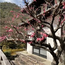 SHOZAN &nbsp;RESORT &nbsp;KYOTO（しょうざんリゾート京都）の画像｜ガーデン