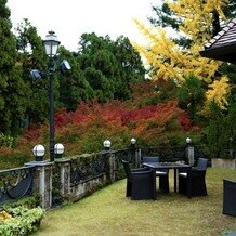 SHOZAN &nbsp;RESORT &nbsp;KYOTO（しょうざんリゾート京都）の画像｜秋だったので紅葉の葉も綺麗に色づき、映えてました