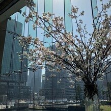 パレスホテル東京（PALACE HOTEL TOKYO）の画像