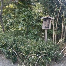 FOREST TERRACE　明治神宮・桃林荘の写真｜桃林荘