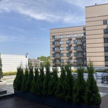 The New Hotel Kumamoto（ザ・ニューホテル熊本）の画像｜挙式後、外に出た後も緑と青空がキレイです。
