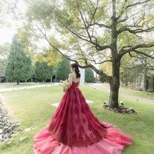 Ｍｉａ　Ｖｉａの写真｜ドレス・衣装｜2025-04-27 09:49:41.0ana0330さん投稿