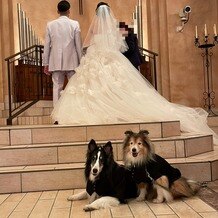 ＶＩＬＬＡＳ　ＤＥＳ　ＭＡＲＩＡＧＥＳ　さいたま（ヴィラ・デ・マリアージュ　さいたま）の画像