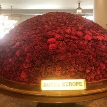 ハウステンボスの写真｜ホテルヨーロッパに入ってすぐに薔薇が沢山ある。