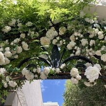 ロザンジュイア 広尾迎賓館の画像｜会場正面玄関のバラ
