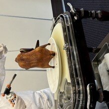 新潟グランドホテルの写真｜その他｜2025-02-16 21:29:54.0マロコロにゃんにゃんさん投稿