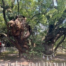 浜松八幡宮　楠倶楽部の写真｜その他｜2024-08-03 18:03:28.0775さん投稿