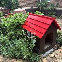 キャメロットヒルズの写真｜ガーデンにある犬小屋