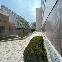 ホテルオークラ福岡の写真｜廊下から見えるガーデン