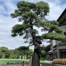 明治神宮・明治記念館の画像