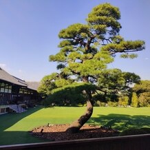 明治神宮・明治記念館の画像｜挙式会場外の日本庭園