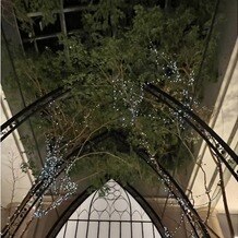 オリエンタルホテル 東京ベイの画像｜ベンジャミンの木の装飾で本物。