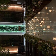 Ａｒｇｅｎｔ　Ｐａｒｍｅ（アージェントパルム）の写真｜その他｜2025-03-16 22:59:37.0りさん投稿