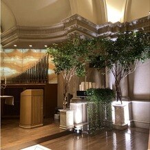 ウェスティンホテル東京の画像｜大きな木がありました。