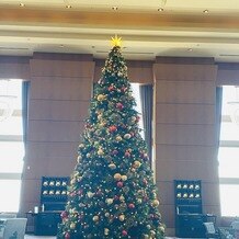 ザ・リッツ・カールトン東京の画像｜ロビーの大きなクリスマスツリー　クリスマスの時期でしたので装飾が素敵でした