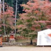 大原野神社の写真｜境内