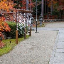 大原野神社の写真｜参列します