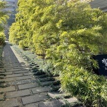 響 風庭 赤坂（HIBIKI）の画像｜外観の竹林