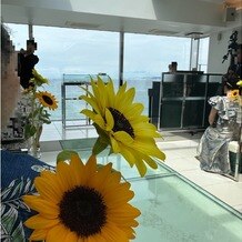 SCAPES THE SUITE（スケープス ザ スィート）の画像｜夏らしく向日葵で