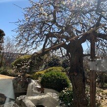 ＴＥＲＡＫＯＹＡの画像｜庭園です
