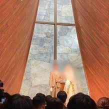 アーフェリーク白金の画像