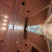 アーフェリーク白金の画像