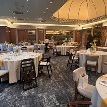 アーフェリーク白金の写真｜その他｜2025-08-17 19:09:11.0ぺぺさん投稿