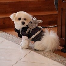 アニバーサリークラブ　フラワーガーデンの写真｜リングドッグにも対応いただきました