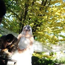 プライベートガーデンＷｅｄｄｉｎｇ　Ｌａ　ｐａｒｔｉｒ（ラ　パルティール）の画像