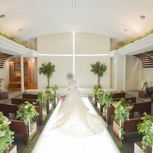 ＡＩＬＥ ｄ’ＡＮＧＥ garden（エルダンジュ　ガーデン）の画像｜ライトアップのバージンロード