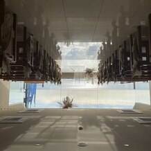 ＡＭＡＮＤＡＮ　ＢＬＵＥ　鎌倉（アマンダンブルー鎌倉）の画像