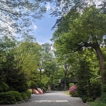 阿佐ヶ谷神明宮の画像