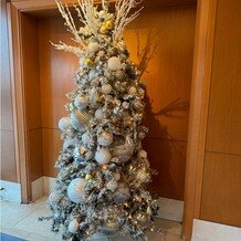 ホテル インターコンチネンタル 東京ベイの写真｜クリスマスが近くホテルにはツリーがたくさんありました