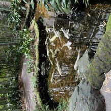 フォーチュン ガーデン 京都（FORTUNE GARDEN KYOTO）の画像