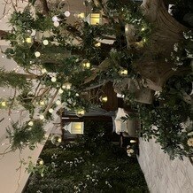 ラグナヴェール　プレミア &nbsp;ＬＡＧＵＮＡＶＥＩＬ　ＰＲＥＭＩＥＲの画像