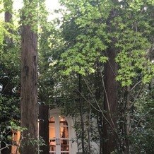 ザ ナンザンハウス（ＴＨＥ ＮＡＮＺＡＮ ＨＯＵＳＥ）の画像