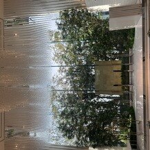 シャルマンシーナ ＴＯＫＹＯの画像