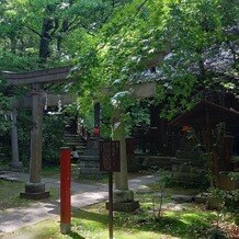 赤坂氷川神社の写真｜境内