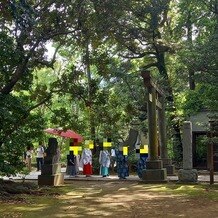 赤坂氷川神社の写真｜参進風景