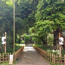 赤坂氷川神社の写真｜境内