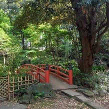 赤坂氷川神社の写真｜境内