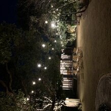 The Sally Garden　（ザ サリィガーデン）の写真｜その他｜2024-12-21 10:48:55.0りーさん投稿
