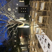 The Sally Garden　（ザ サリィガーデン）の写真｜その他｜2025-02-09 21:47:51.0みぃさん投稿