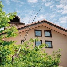 シェ・ピノリの写真｜木があります。